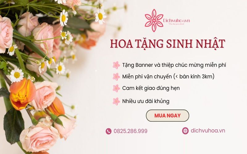 shop hoa tươi dichvuhoa.vn