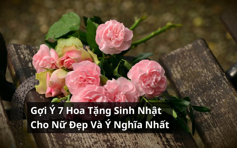 hoa sinh nhật cho nữ