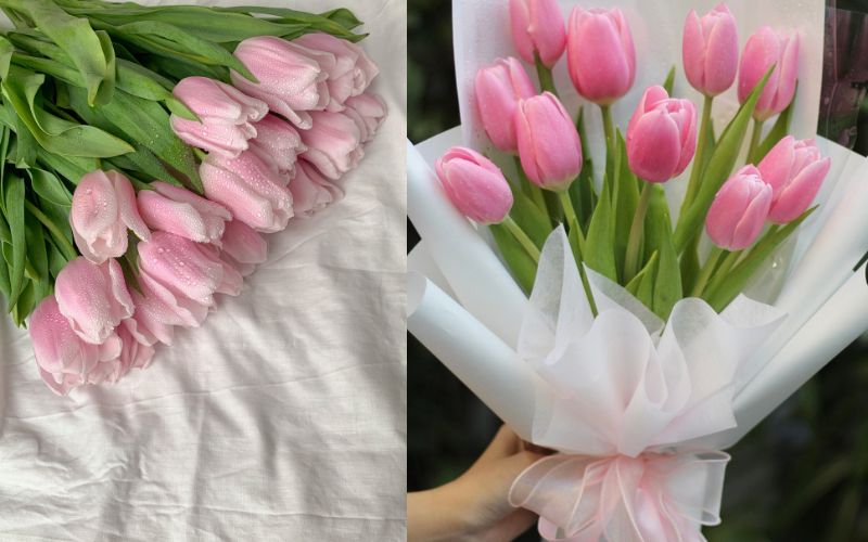 hoa tulip tặng sinh nhật cho nữ