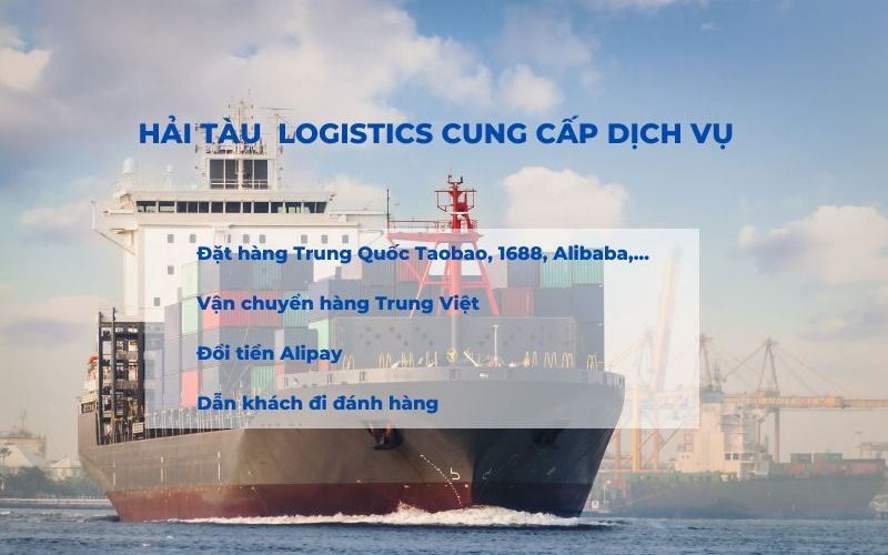 công ty Hải Tàu Logistics