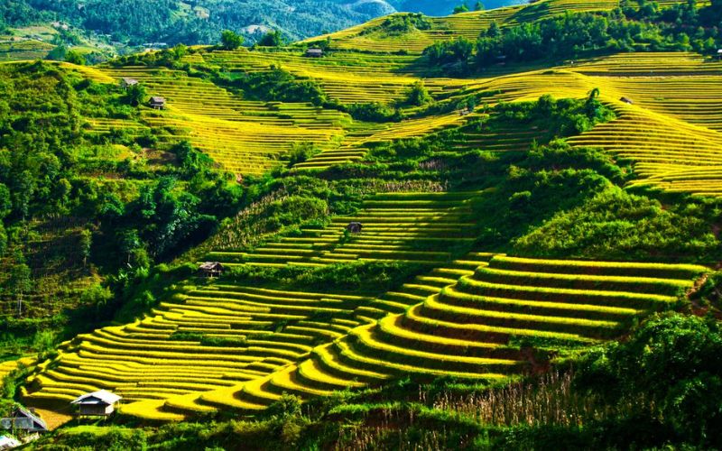 Tại sao nhiều người chọn du lịch tại Hà Giang?