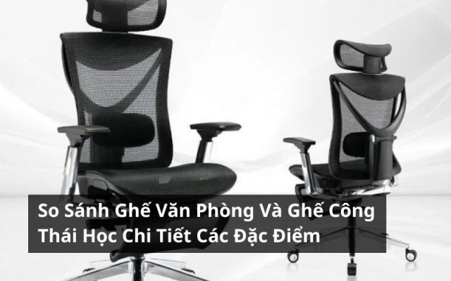 so sánh ghế văn phòng và ghế công thái học