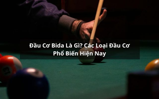 đầu cơ bida là gì
