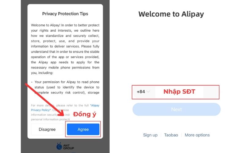Đồng ý điều khoản Alipay